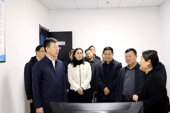 2024.11.28王峰督导府院联动工作5
