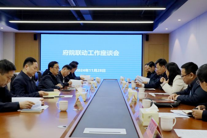 2024.11.28王峰督导府院联动工作6